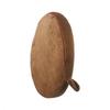 Chair Cover Pillow Fruit Shape Garden Outdoor Decoration Plush