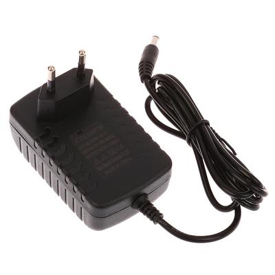 Remote Control Toy Car Charger 12V Children Electric Car Charger Universal European Plug Charger For Kid'S Car