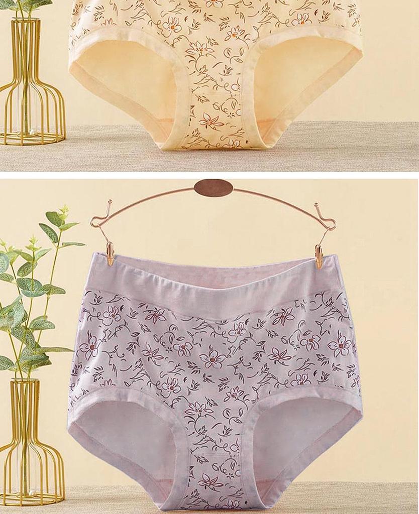 Mom’s Style Cotton High-Waisted Plus Size Briefs for Women