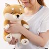Livheart Premium Nemunemu Animals Sitting Body Kotaro the Shiba Medium Size 30cm In Soft and Pillow, Inu, (Approx. Length), Squishy, 68226-44