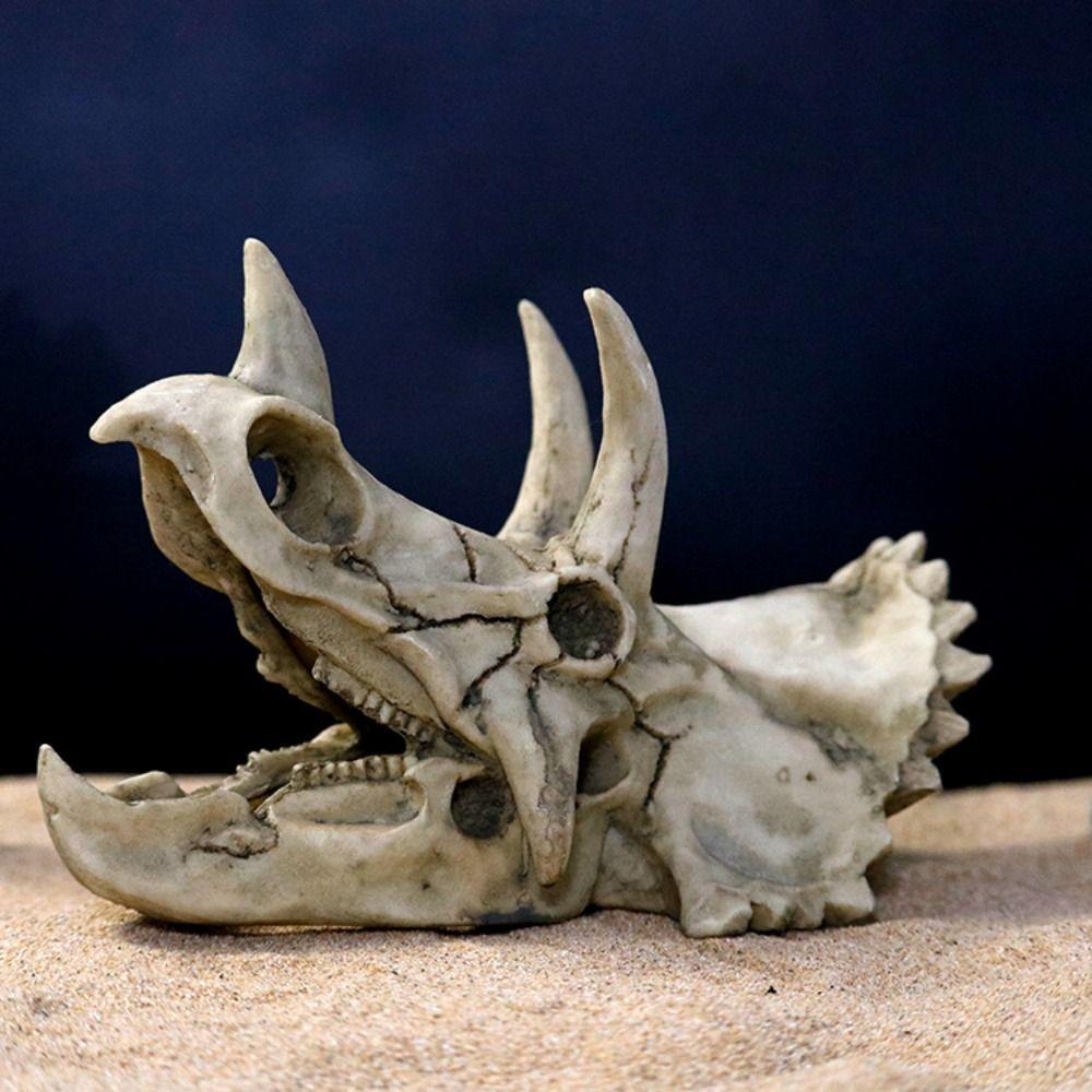 

Decorative Fish Hiding House Resin Animals Skull Decoration Terrarium Decoration Dinosaur Skull