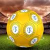 Football Club Teplice Size 5 Soccer Ball, Machine-Stitched PVC, Durable & High Bounce, All Ages Fit, Fan Merchandise, Matches & Outdoor Use.