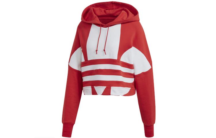 Adidas Originals Trefoil Sweatshirts Women s Hooded Moderate Regular FS1313 36