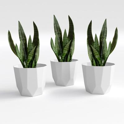 Hexa 8 Inch Pack of 3 Piece Plastic Plant Pot for Home Decor Indoor Plant Pots for Living Room Plastic Flower Pot for Garden (White)