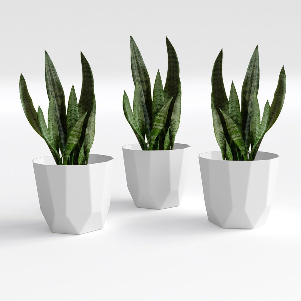 Hexa 8 Inch Pack of 3 Piece Plastic Plant Pot for Home Decor Indoor Plant Pots for Living Room Plastic Flower Pot for Garden (White)