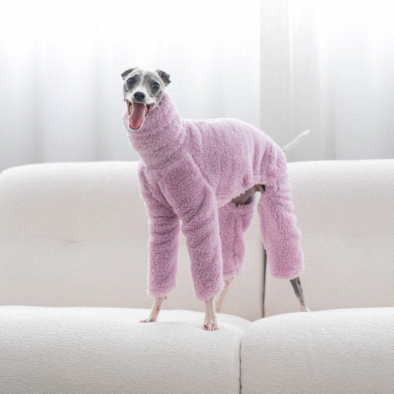 Whippet Italian Greyhound Turtleneck Four-legged Dog Sweater, Soft Warm Pet Pajamas, Comfortable Stretch Fleece Onesie For Dog