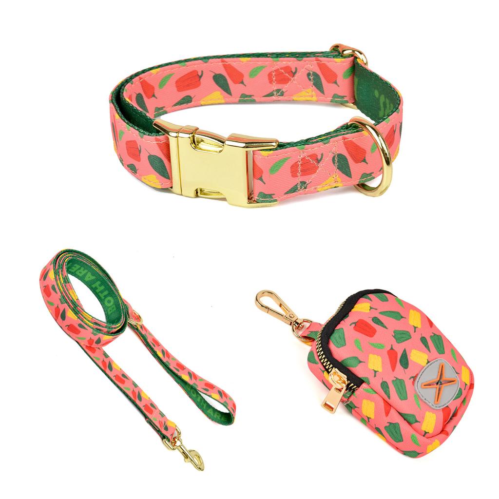1 Pcs Adjustable Dog Traction Rope Walking Leash With 1 Pcs Color Matching Collor 1 Pcs Waste Bag For Puppy Outdoor Supplies