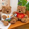 Cute Teddy Bear Hugging Flower Soccer Reading Cartoon Plush Toy For Kids Gift
