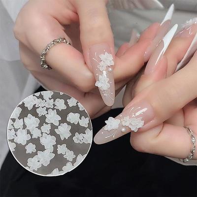 Size Mixed 3D Irregular Soft Flowers Resin Nail Charms Colorful Flower Nail Art Decorations Nail Ornaments Manicure Crafts