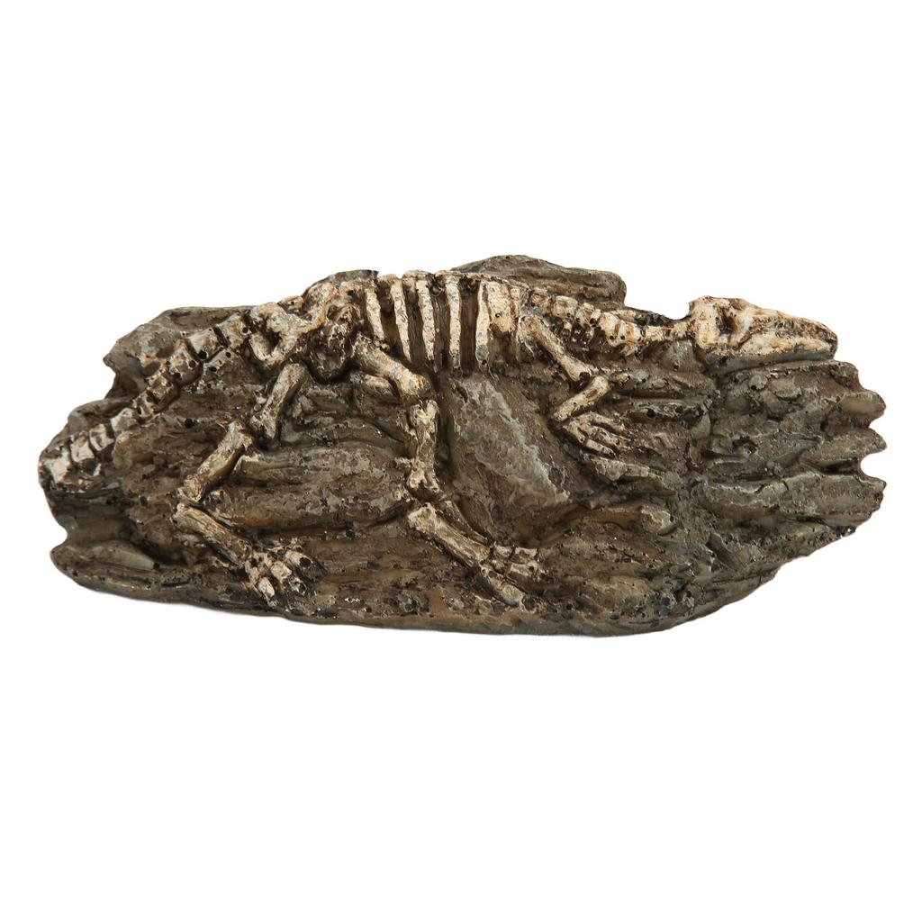 Dinosaur Fossil Aquarium Decoration Resin Reptile Ornament Aquarium Animal Craft for Fish Tank