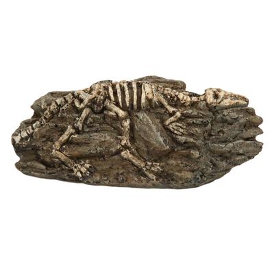Dinosaur Fossil Aquarium Decoration Resin Reptile Ornament Aquarium Animal Craft for Fish Tank