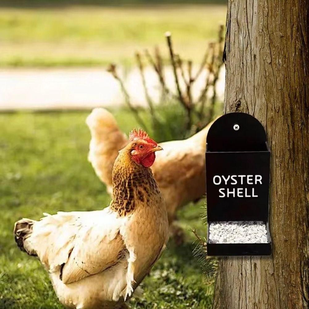 Creative Coop Feeding Station Wide Mouth Grit Dispenser Cute Gravity Poultry Feeder  Livestock Care