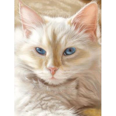 Full Round DIY Diamond Embroidery Cute Cat 5D Diamond Painting Rhinestone