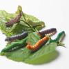 12Pcs Simulation Caterpillar Crawling Insect Animal Model Toy Funny Prop Halloween Prank Toy Miniature Fairy Garden Decoration