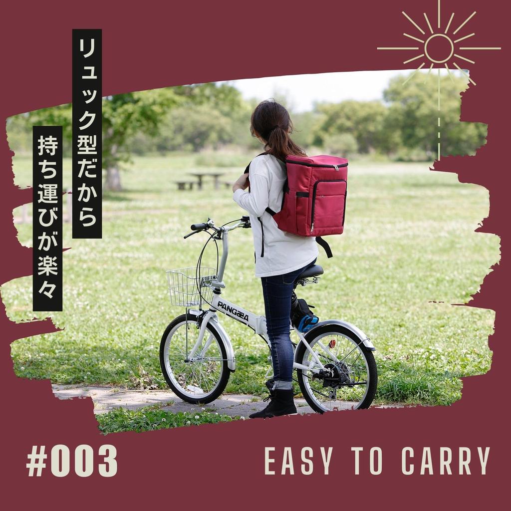 Rioboca Insulated Cooler for and Camping Backpack-Style Bag, 22L, Shopping, BBQs, (Black)