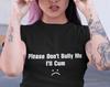 Please Don’t Bully Me Funny Shirt. Ironic Sand Sarcastic Shirt Gift, Meme Fury Humor, Unisex and Ladies Shirt.