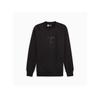 Puma Hoodie 623802
