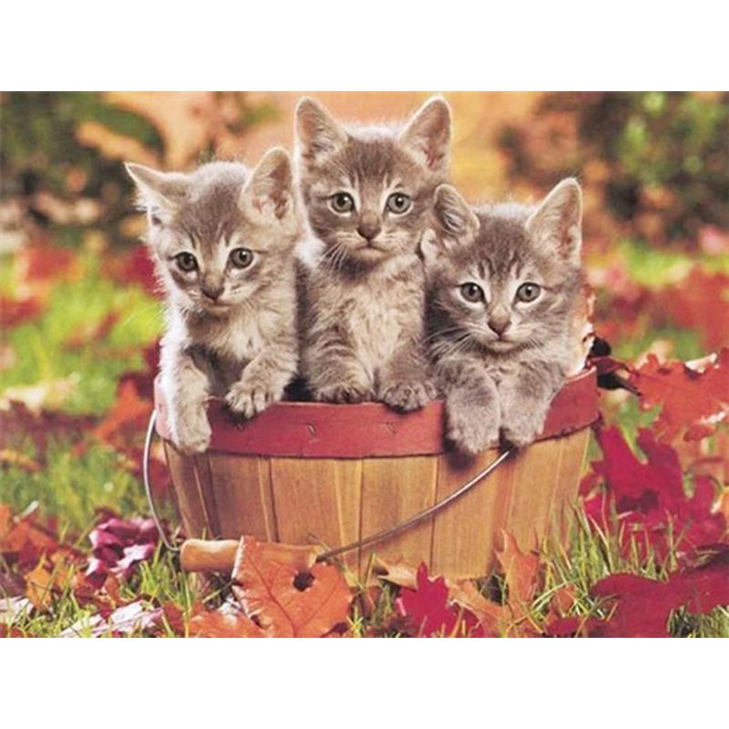 Flower DIY 5D Diamond Painting Full Round Drill Cat Diamond Embroidery Animal Cross Stitch Mosaic Rhinestones Art Handwork Gift