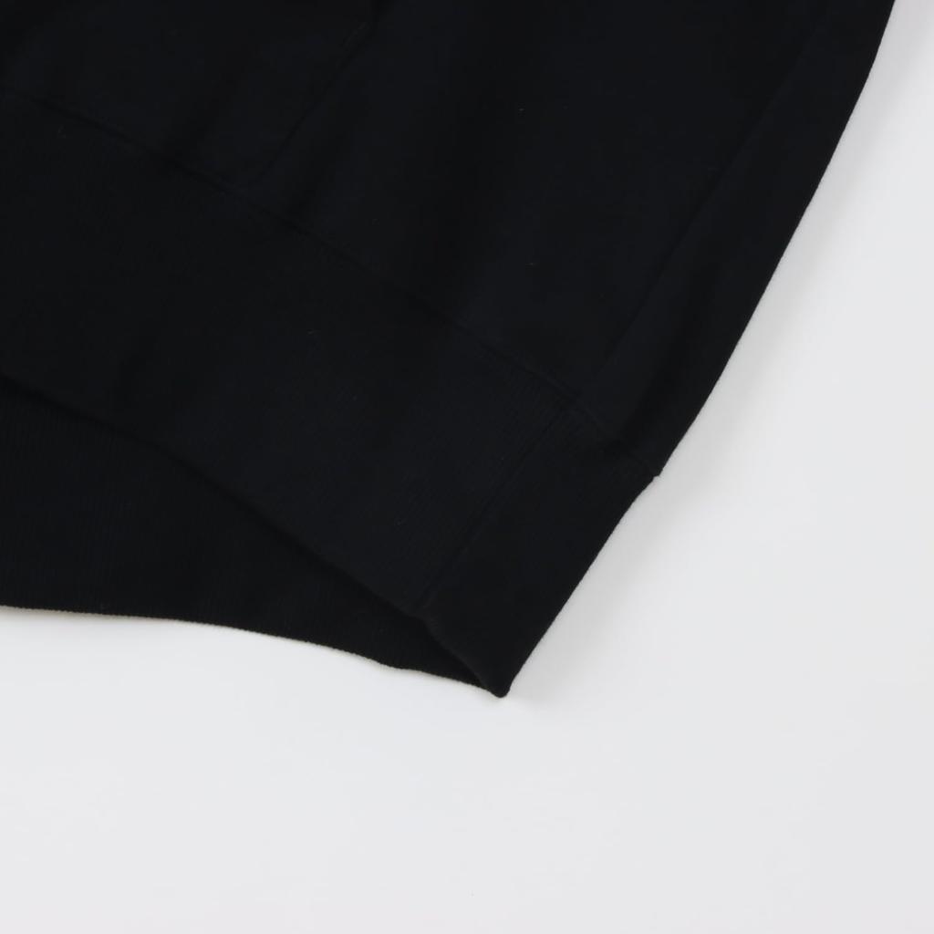 Champion Hooded Long Sleeve Cotton USA Relax Fit Hooded Sweatshirt with Embroidered Script Logo Fleece-Lined (CW-C106-090-L)