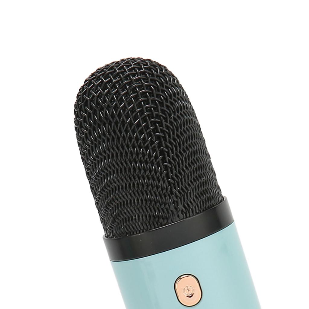 Karaoke Machine HiFi Stereo Sound Portable Speaker with Microphone for Kids Gifts