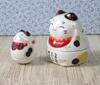 Yakushi Kiln Trinket Mike Rising Good Luck Maneki-neko Box, (Black, Maneki-neko Design) (Includes Sticker)