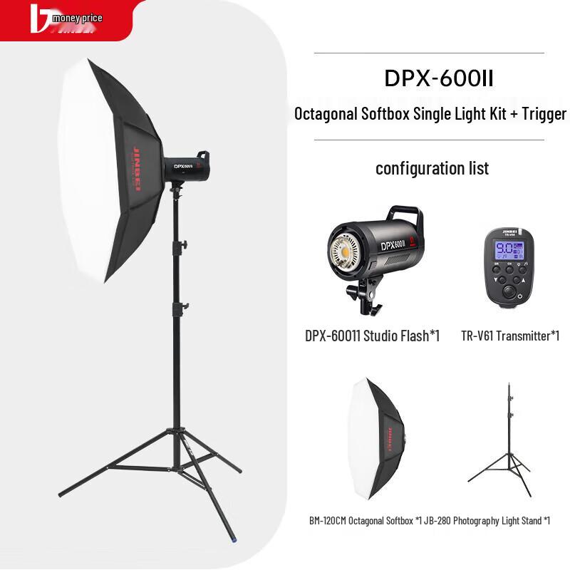 JINBEI DPX600II Professional Studio Flash & Fill Light Kit