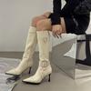 Pointed high-heeled boots women's autumn and winter 2025 new European and American knee-length boots thin-heeled high-heeled knight boots