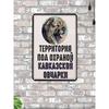 Metal Sign Caucasian Shepherd Guard Dog Warning Beware of Dog 20x30 Cm