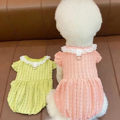 Ropa y calzado – Vestidos para perros