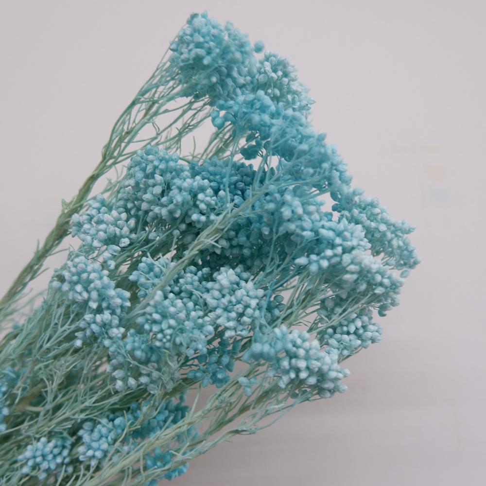 Eternal Flower Bleaching Millet Flower, Preserving Flowers, Rice Flower Eternal Flower Dried Flower Rice Grass Home Decoration Bouquet Accessories