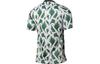 Nike Nigeria Team Soccer Quick-Dry Casual Short Sleeve T-Shirt CT4244-100