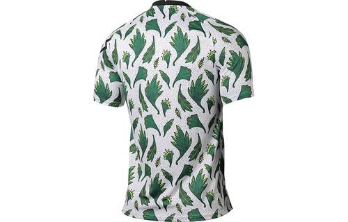 Nike Nigeria Team Soccer Quick-Dry Casual Short Sleeve T-Shirt CT4244-100