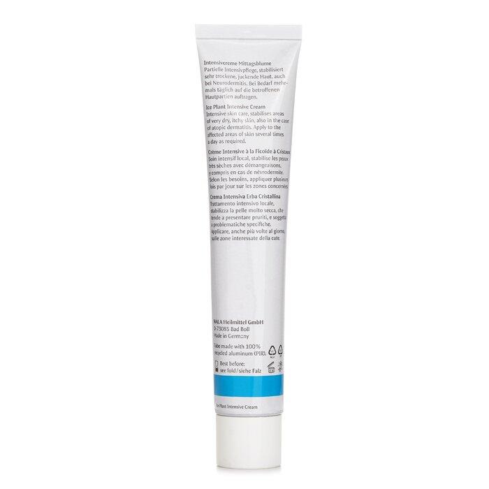 DR. HAUSCHKA MED Ice Plant Intensive Cream