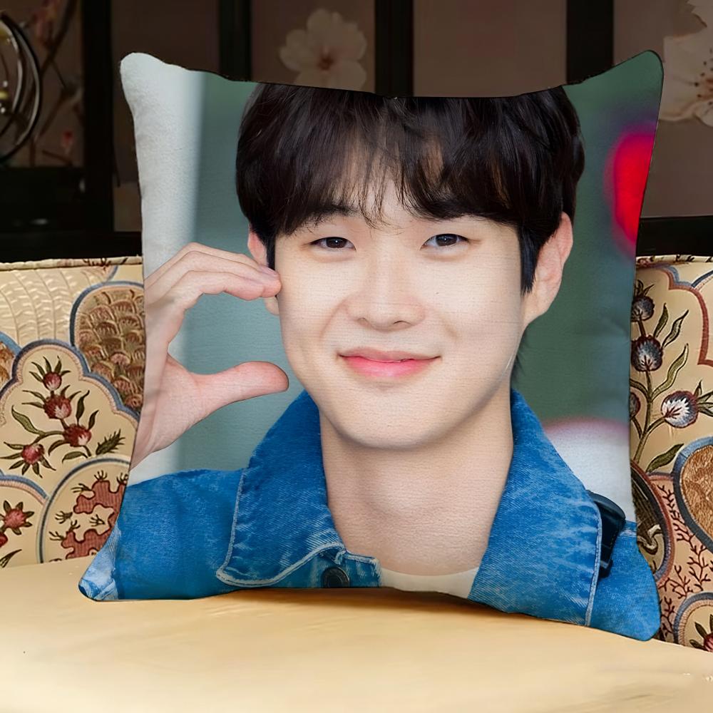 C-Choi Woo-Shik Actor Pillow Case Pillowcase, Double-Sided Printed, Sofa Cushion, Bedroom Headboard Pillow Peach skin 18*18(CM)-1Pcs
