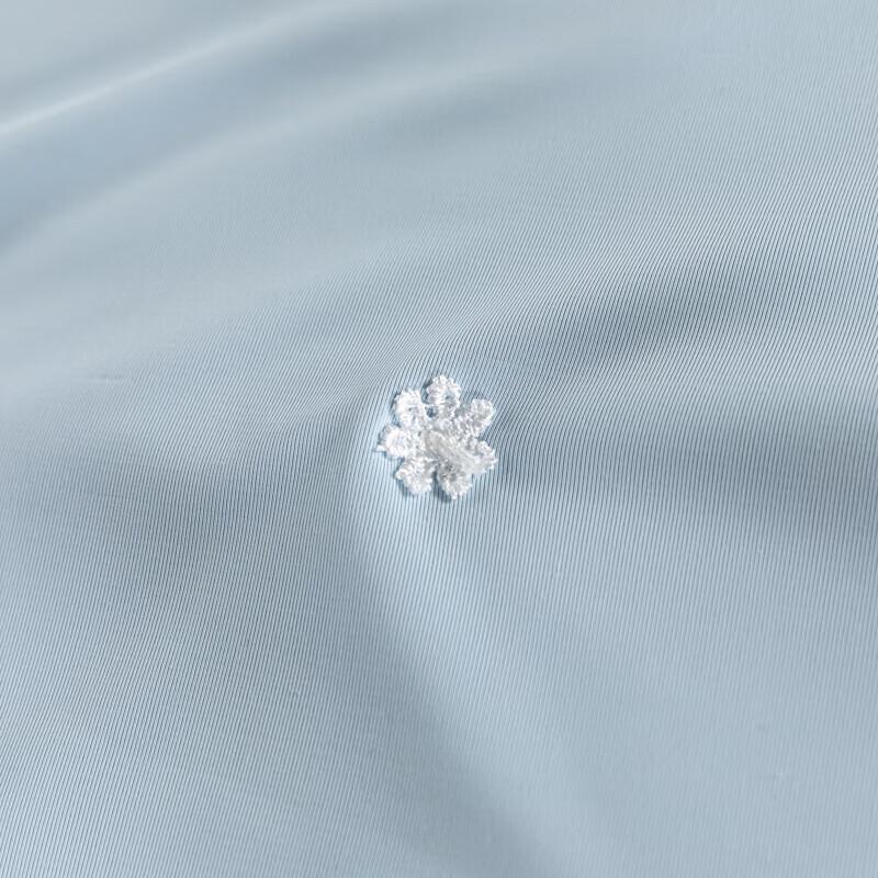 Royal Sleep Ice Cool Mulberry Silk Quilt