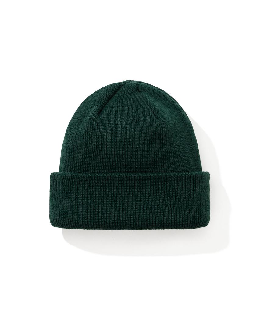 Bieseulaebis Basic Logo Beanie Green