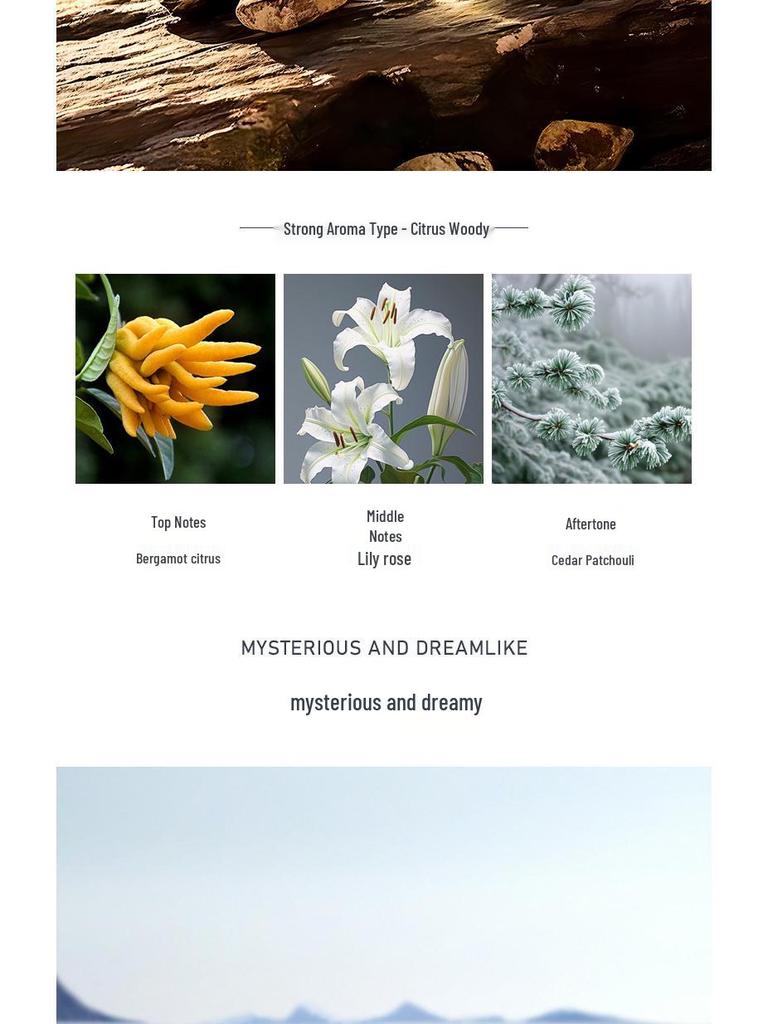 2025 Solar Car Aromatherapy Perfume - Elegant Men's Car Interior Ornament with Subtle Fragrance