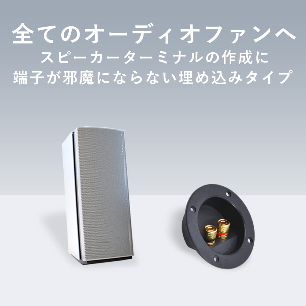 TKY Speaker Terminal Round Compatible with Banana Plugs Box, Type, (2 pieces)