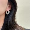 High-end Temperament Silver Earrings for Women