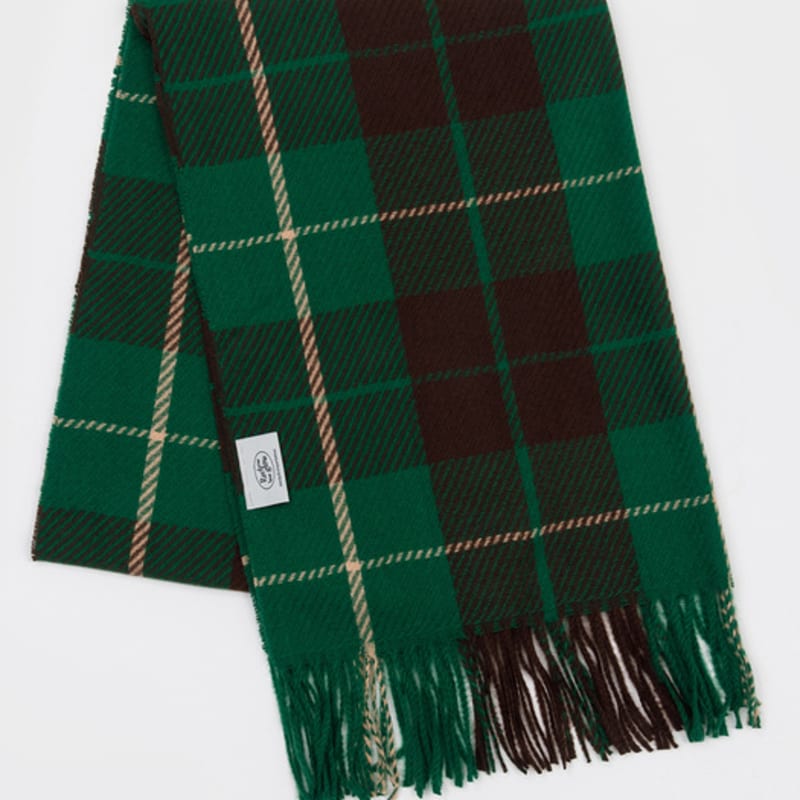 

RECLOW OMBRE Двухцветный клетчатый шарф ЗЕЛЕНЫЙ FREE