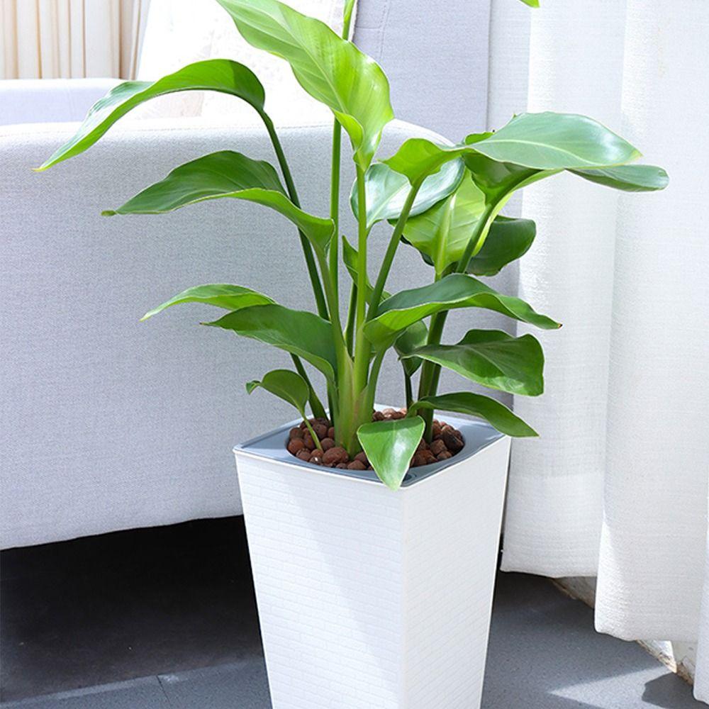 Square Shape Bonsai Flowerpot Plastic Succulent Flower Pot Retro Balcony Plant Pot  Garden Supplies