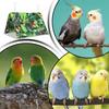 Parrot Bed Bird Hut Hammock Cockatiel Nest Summer House Perch Pet Supplies Parakeet Cage Accessories For Lovebird Finch Macaw