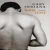 Horse Crazy by Gary Indiana Paperback Book 9781609808617