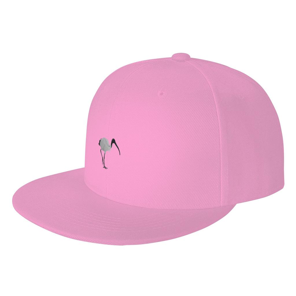 Fashion Bin Chicken Flat Brim Sun Hat Cap Black Cap