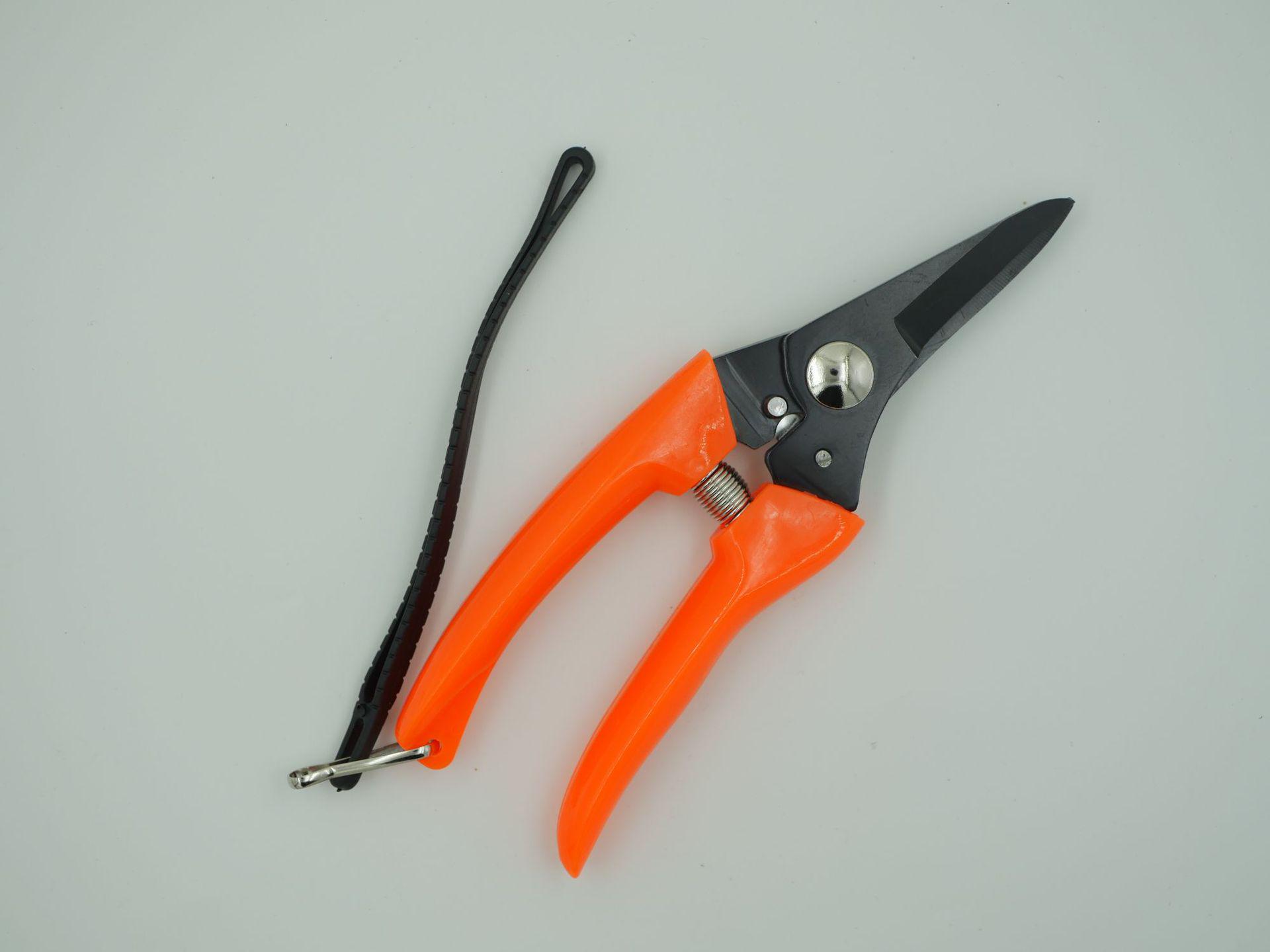 Southeast Asia Best-Selling Stainless Steel Garden and Pruning Shears