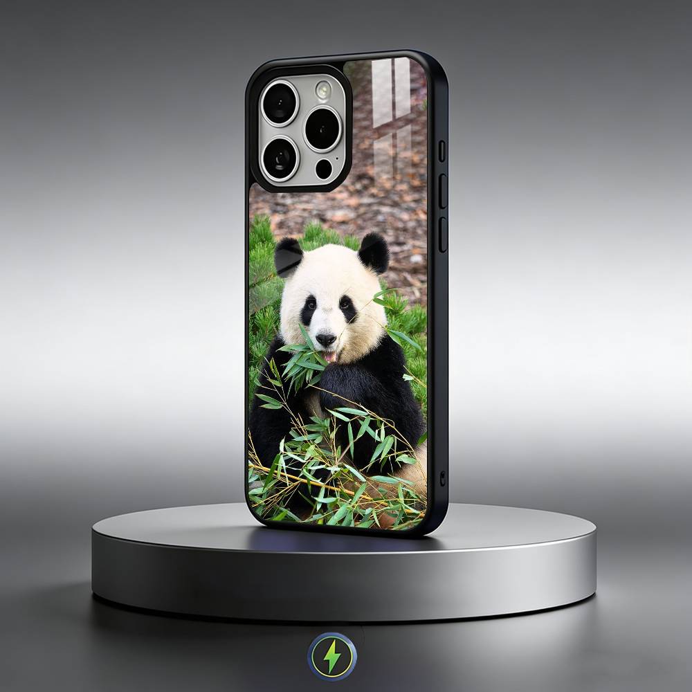 fubao panda Phone Case For iPhone17,16,15,14,13,12,11 Plus,Pro Max Magnetic For Magsafe Wireless Charging iPhone17