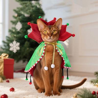 Kedi – Kediler için giyim