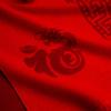 Year of the Dragon zodiac big red scarf Chinese red men and women autumn and winter natal year scarf annual meeting shawl