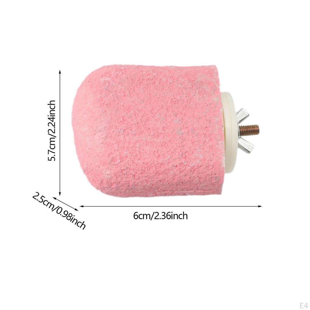 Bird Perch Trimmer Easy to Install Exercise Beak Grinding Stand Parrot for Cockatiels, Paws