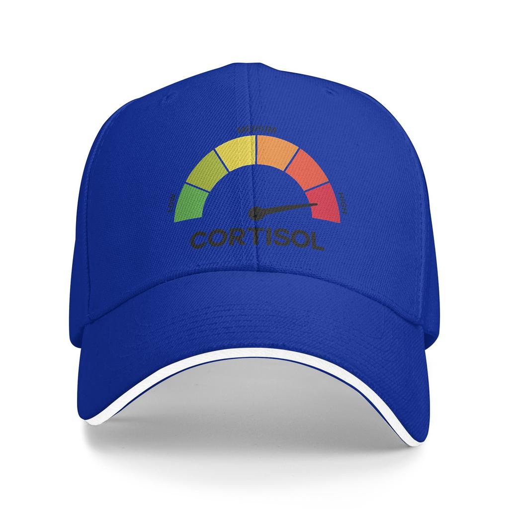 Funny Cortisol High Level Stress Meter Meme Baseball Cap Fashion Couple Hip Hop Hats Hot Sale Print Kpop Rock Baseball Caps Gift